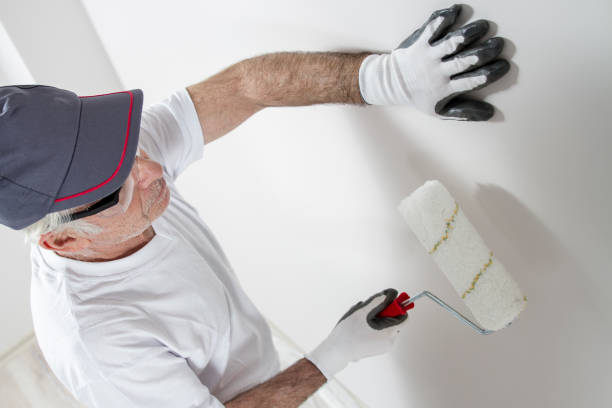 Mold Odor Removal Services